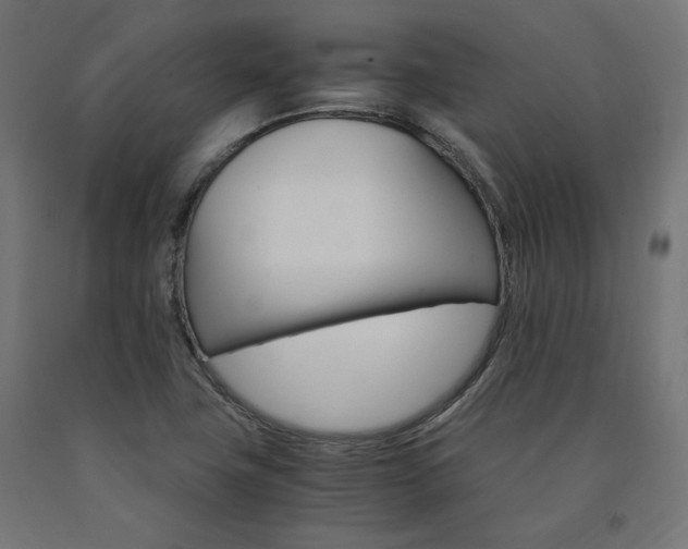 X0000091011411200708021356