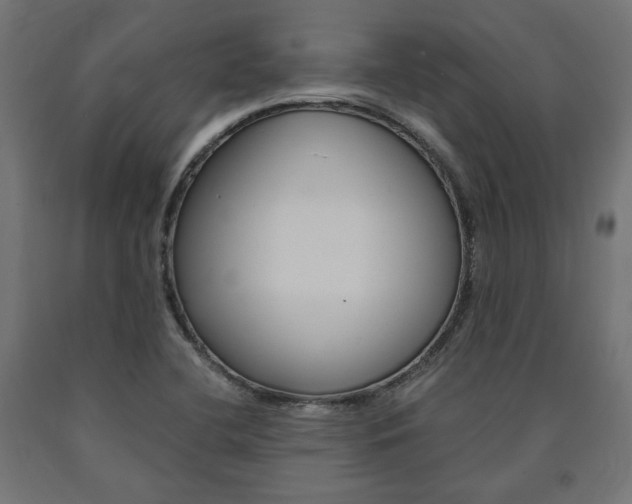 X0000091011412200708021356