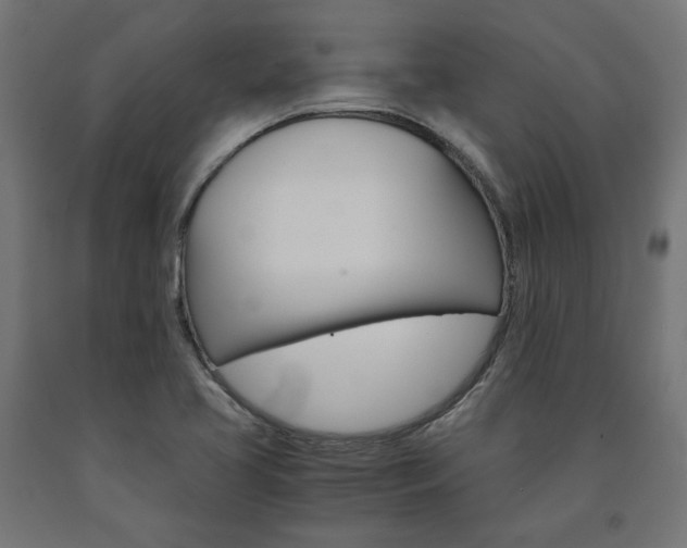 X0000091011413200708021356