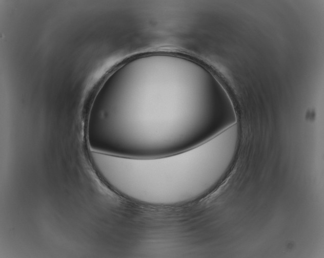 X0000091011414200708021356