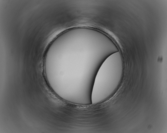 X0000091011415200708021356