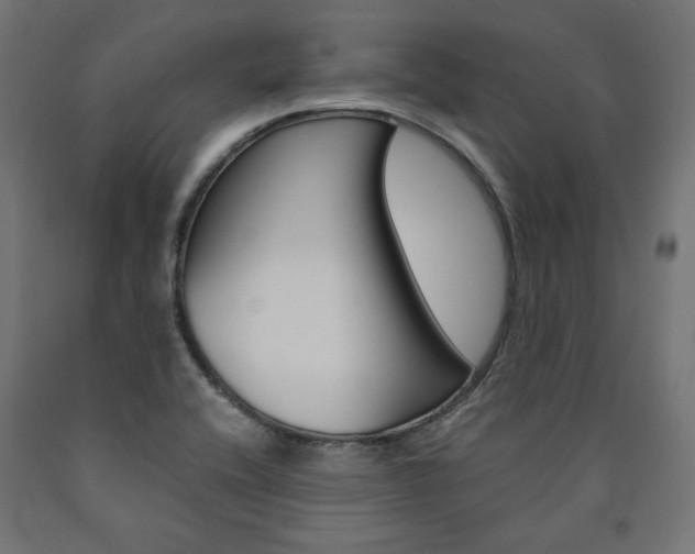 X0000091011416200708021356