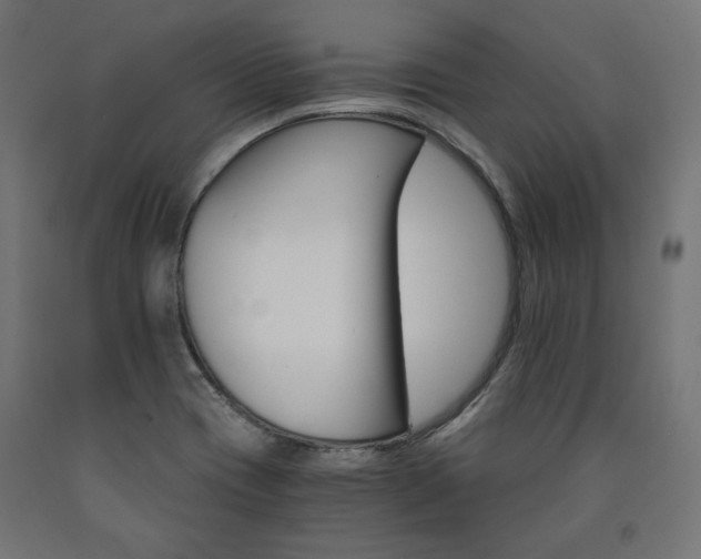 X0000091011417200708021356