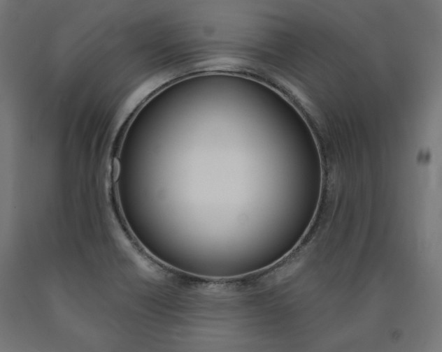 X0000091011418200708021356