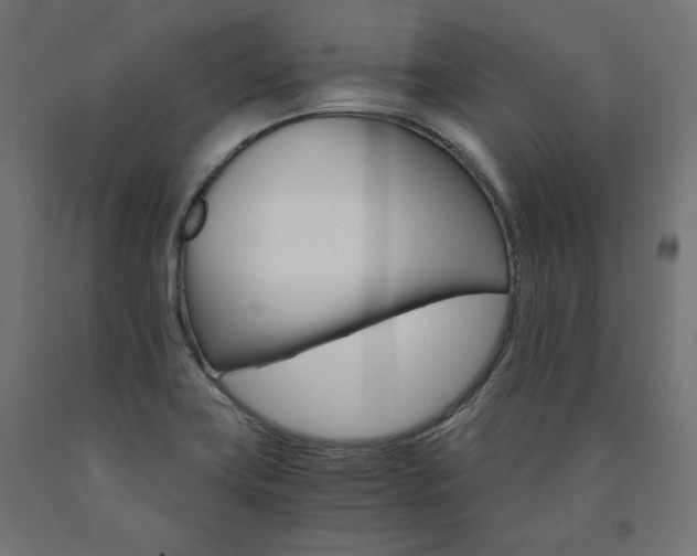 X0000091011419200708021356