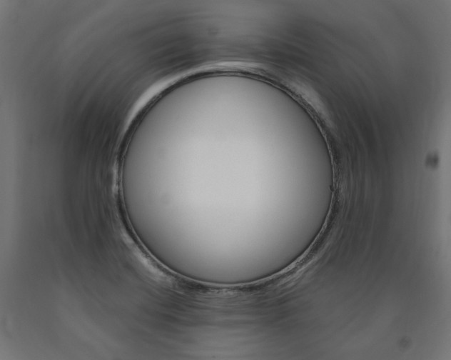 X0000091011420200708021356