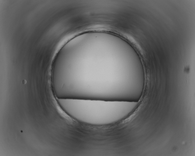 X0000091011421200708021356