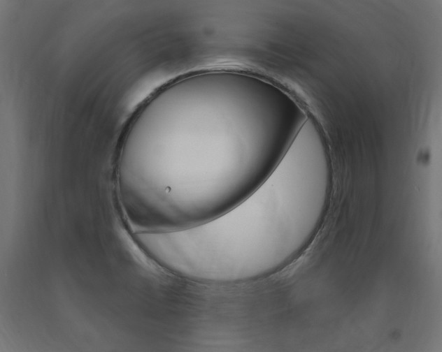 X0000091011422200708021357