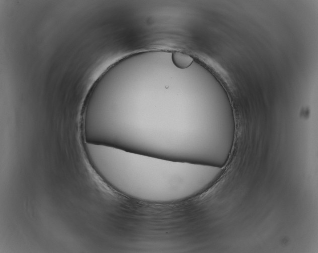 X0000091011423200708021357