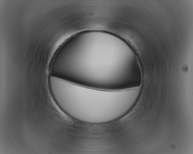 X0000091011424200708021357