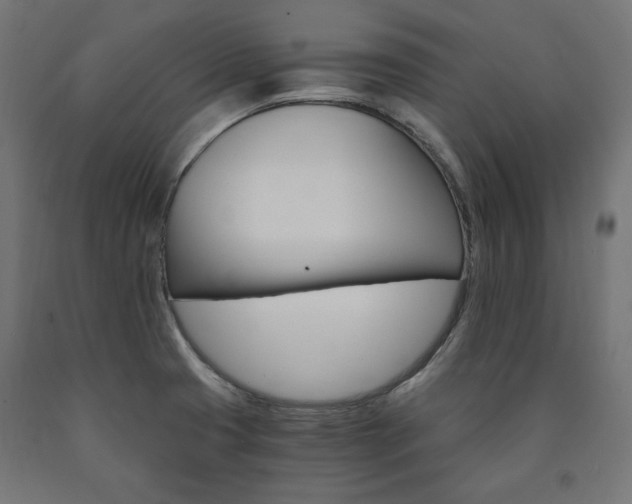X0000091011425200708021357