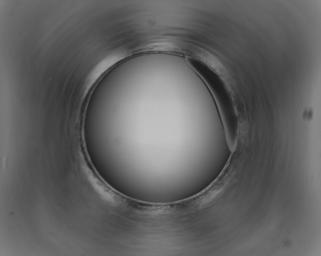 X0000091011426200708021357