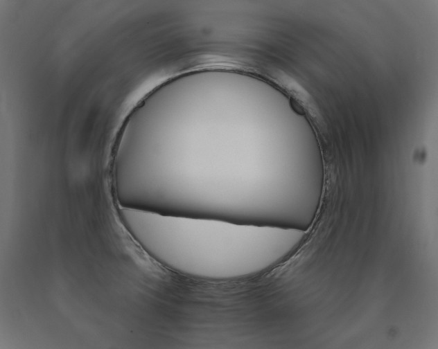 X0000091011427200708021357