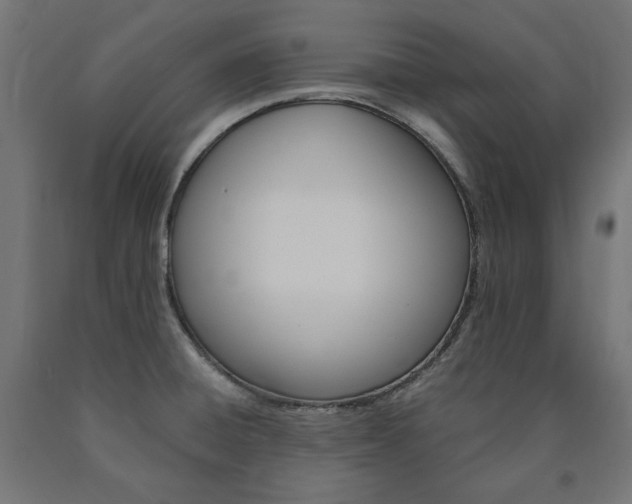 X0000091011428200708021357