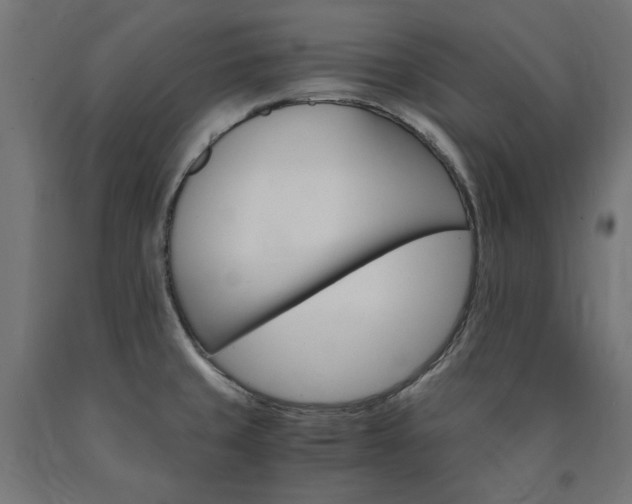 X0000091011429200708021357