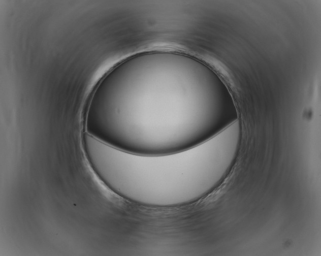X0000091011430200708021357
