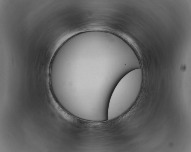 X0000091011431200708021357