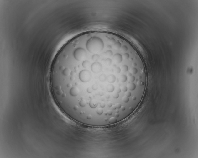X0000091011432200708021357