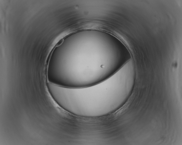 X0000091011434200708021357
