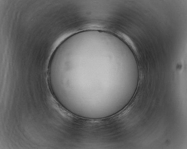 X0000091011435200708021357