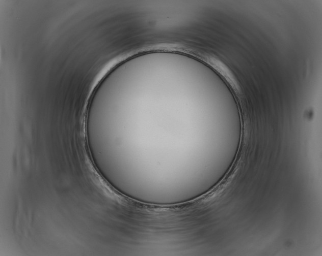 X0000091011436200708021357