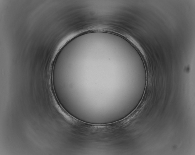 X0000091011437200708021357