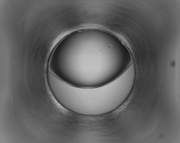 X0000091011438200708021357