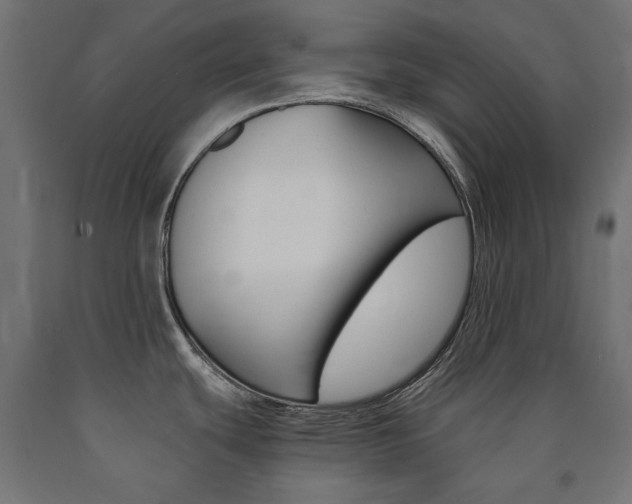 X0000091011439200708021357
