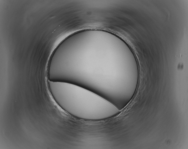 X0000091011440200708021357
