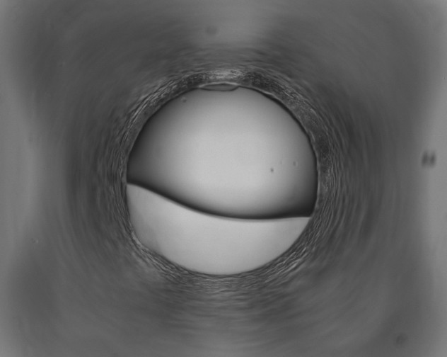 X0000091011441200708021356