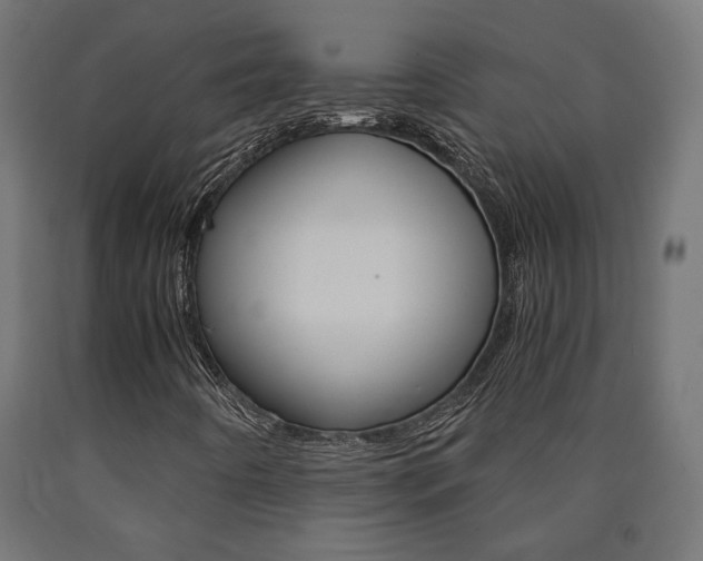 X0000091011442200708021356