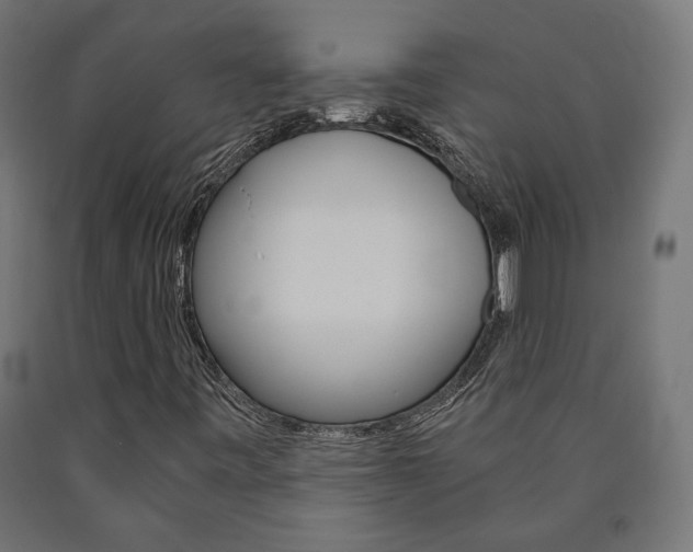 X0000091011443200708021356