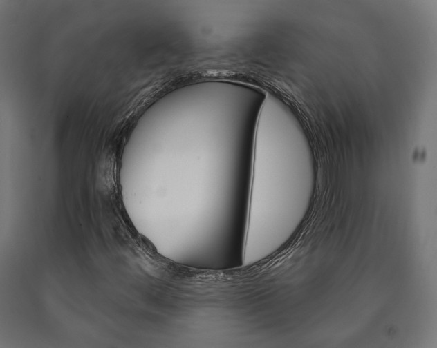 X0000091011444200708021356