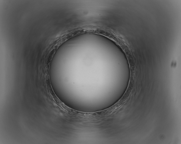 X0000091011445200708021356