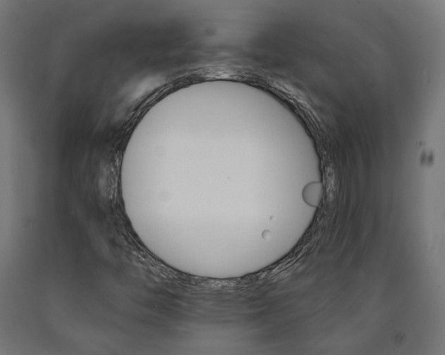 X0000091011446200708021356