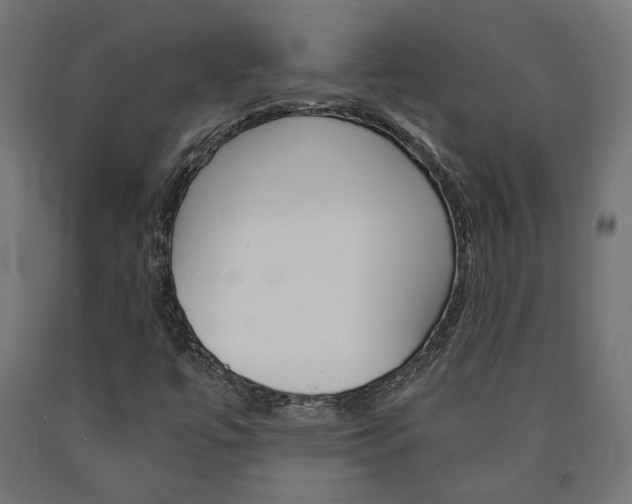 X0000091011447200708021356