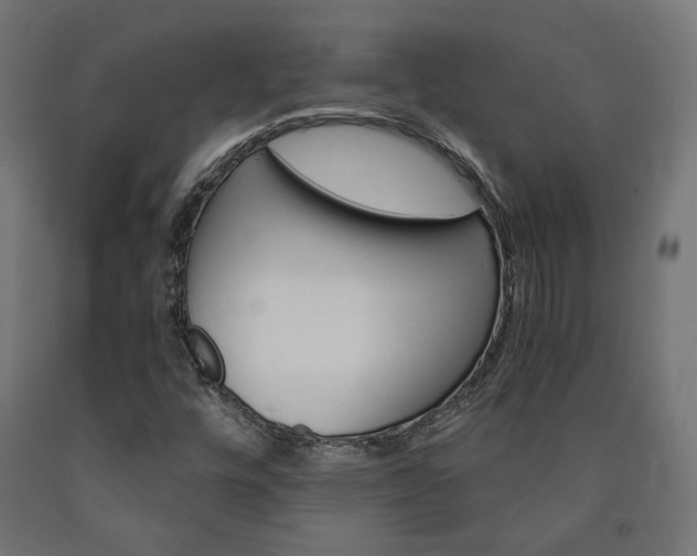 X0000091011448200708021356