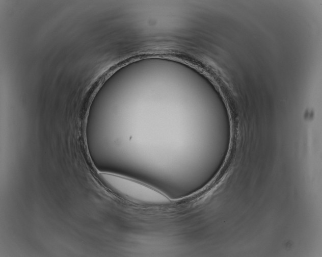 X0000091011449200708021356