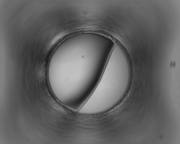 X0000091011450200708021356
