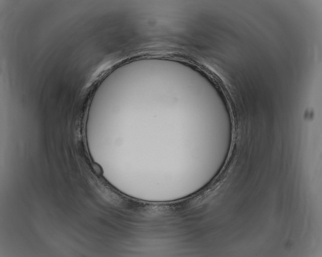 X0000091011451200708021356