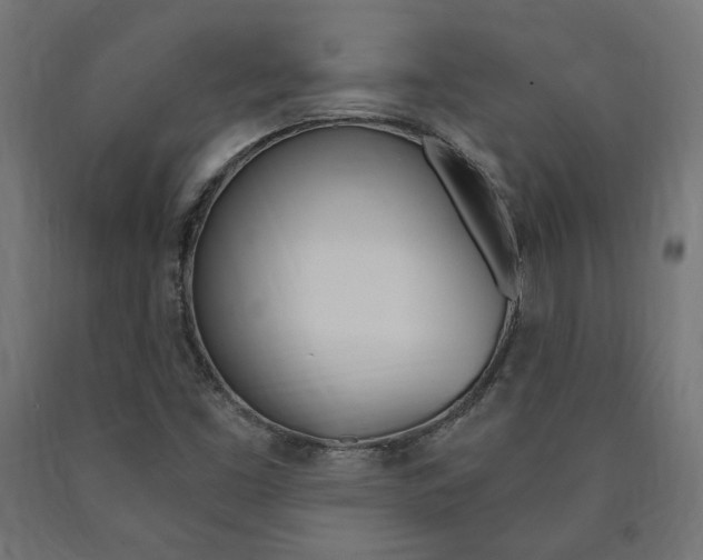 X0000091011453200708021356