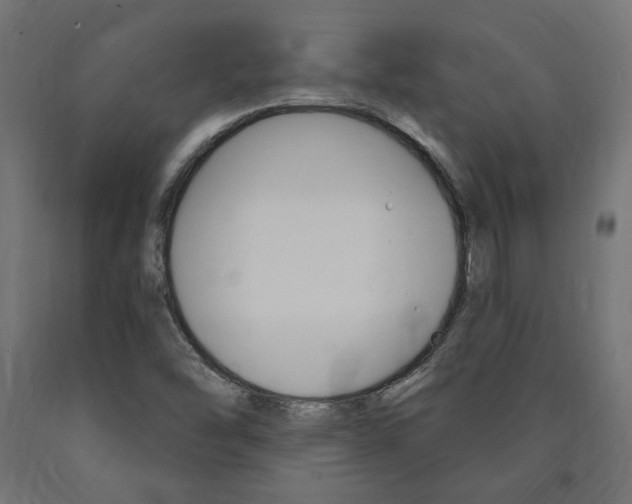 X0000091011454200708021356