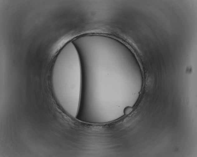 X0000091011455200708021356
