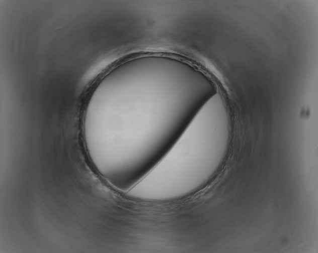 X0000091011456200708021356