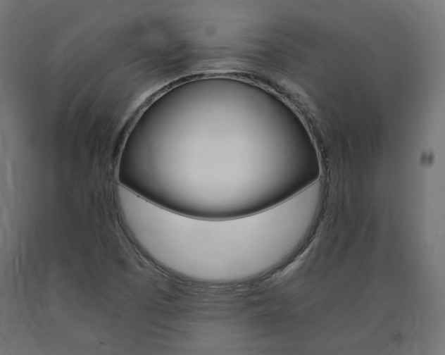 X0000091011457200708021356