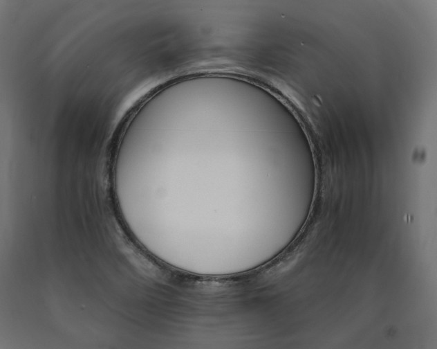 X0000091011458200708021356