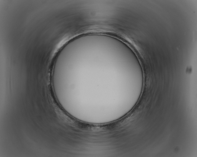X0000091011459200708021356