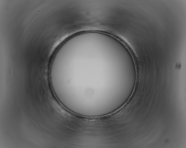 X0000091011460200708021356