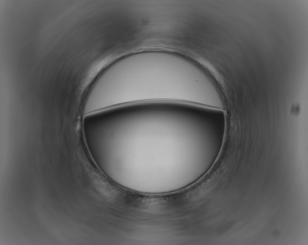 X0000091011461200708021356
