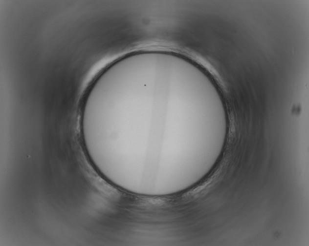 X0000091011462200708021356